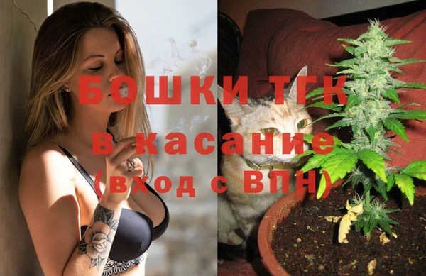 круглые Пересвет