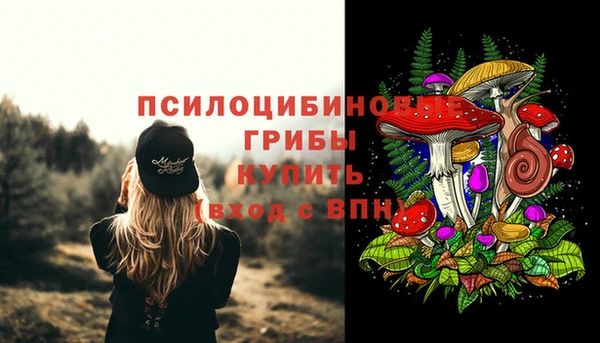 экстази Пестово