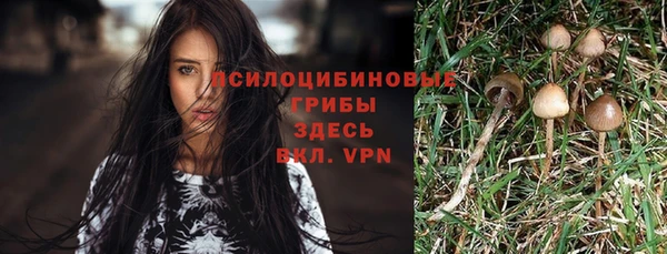 круглые Пересвет