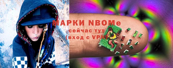 круглые Пересвет