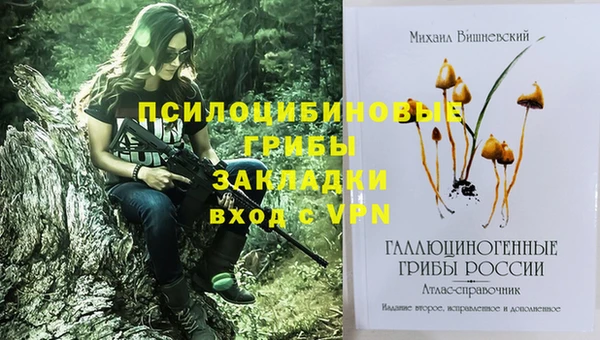 круглые Пересвет