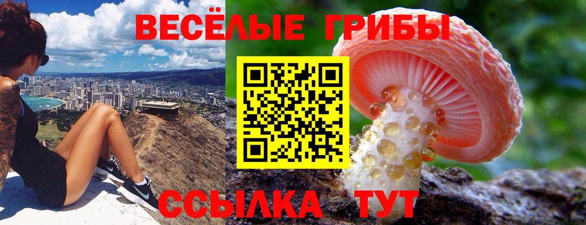 Чита  Галлюциногенные грибы MAGIC MUSHROOMS  Вход с VPN  Псилоцибиновые грибы Psilocybine cubensis 